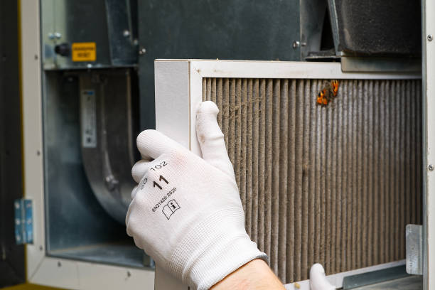 Best HVAC Air Duct Cleaning  in Glendale, AZ