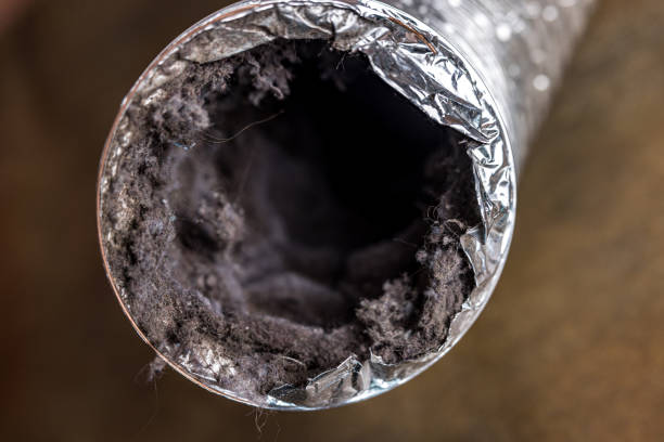 Best General Air Duct Cleaning  in Glendale, AZ