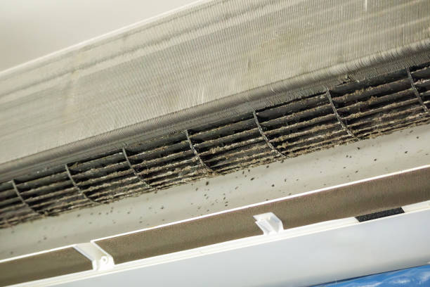 Best Ductwork Cleaning Services  in Glendale, AZ