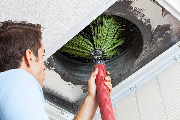 Best HVAC System Cleaning  in Glendale, AZ