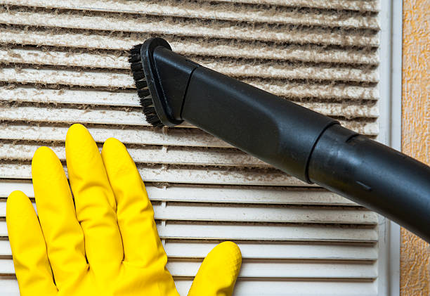 Best Affordable Duct Cleaning Services  in Glendale, AZ